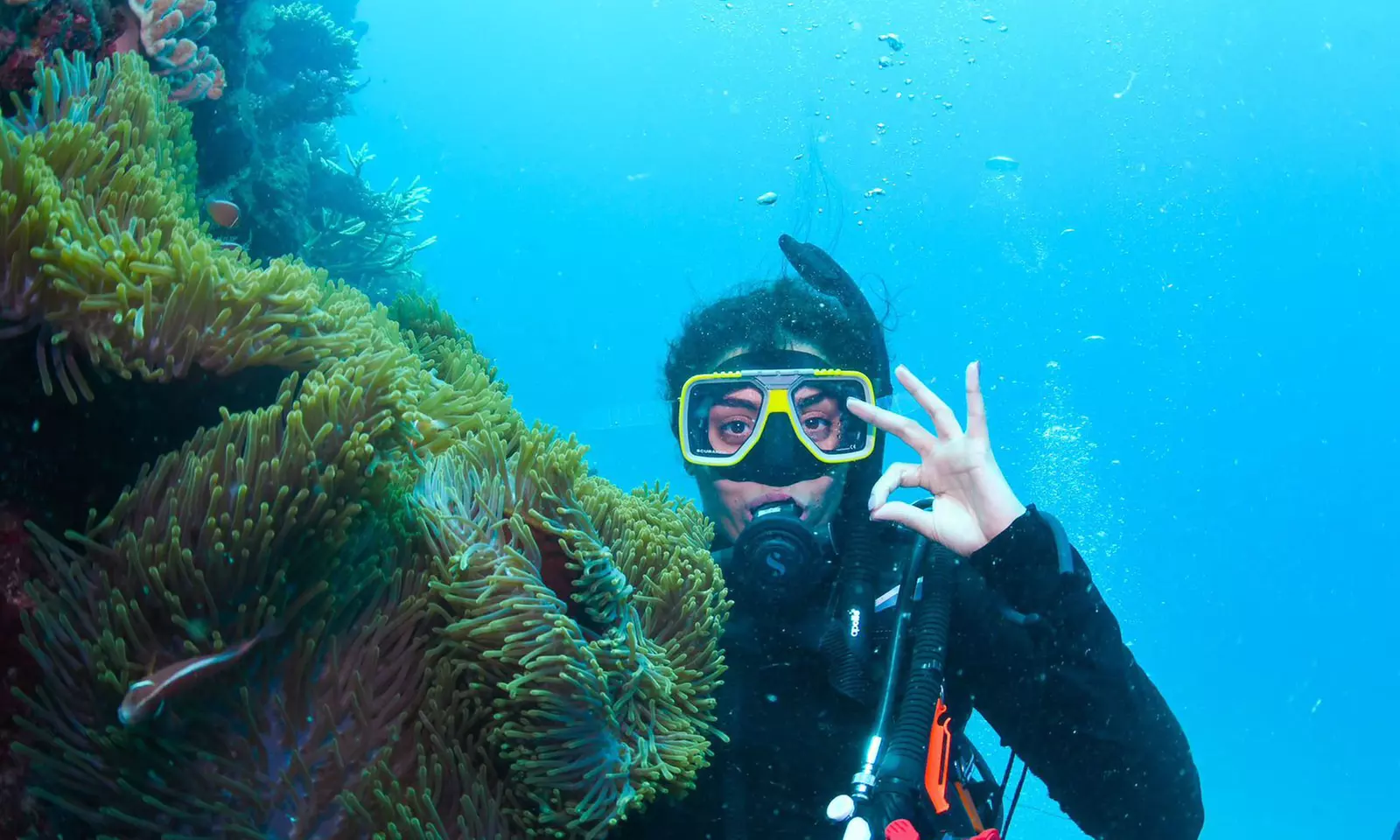 Scuba or Fujairah Diving or Snorkeling at Goblin Diving Center