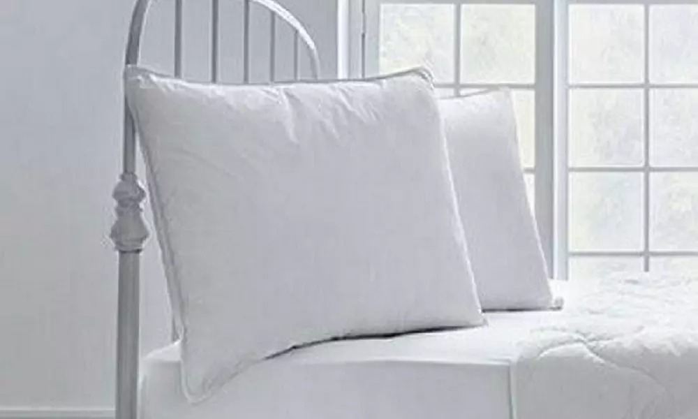 Oreiller en plumettes d'oie 50 x 70 cm - Primary Image