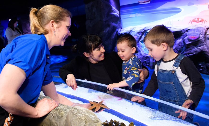 Image 5: SEA LIFE London Aquarium Entry