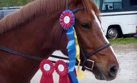 One or Two 30-Minute Private Horse-Riding Lessons at Summit Farm in North Salem  - Primary Image