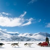 Image 3: ✈ Lapland with Breakfast and Flights