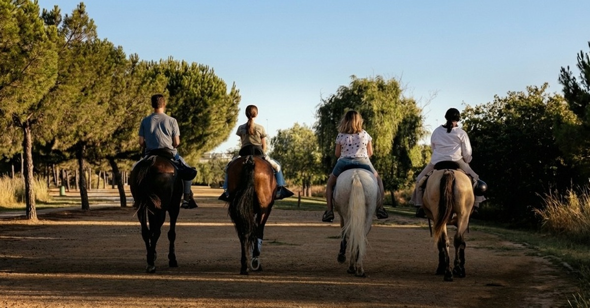 Paseo a caballo para una o dos personas en Sevilla