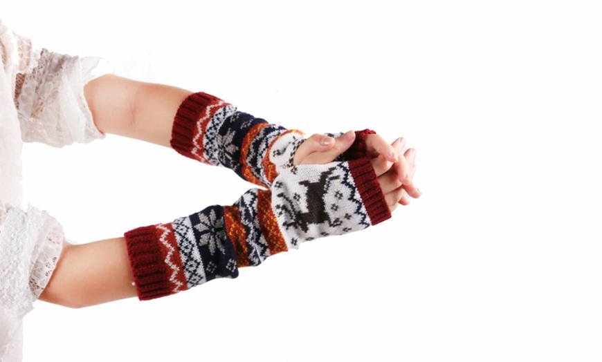 Image 5: Fingerless Arm Gloves