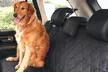 1x oder 2x Rücksitz-Bezug für Tiere - Second Medium