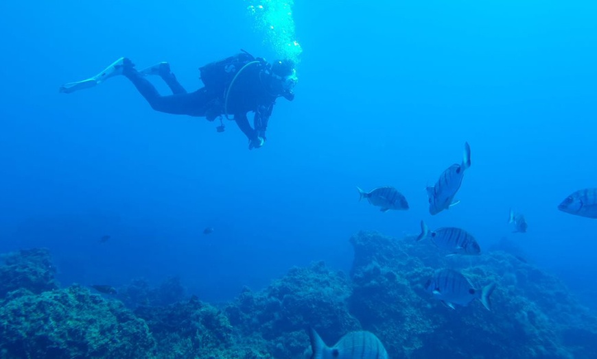 Image 12: Bautismo de buceo con reportaje fotográfico para 1 o 2 personas