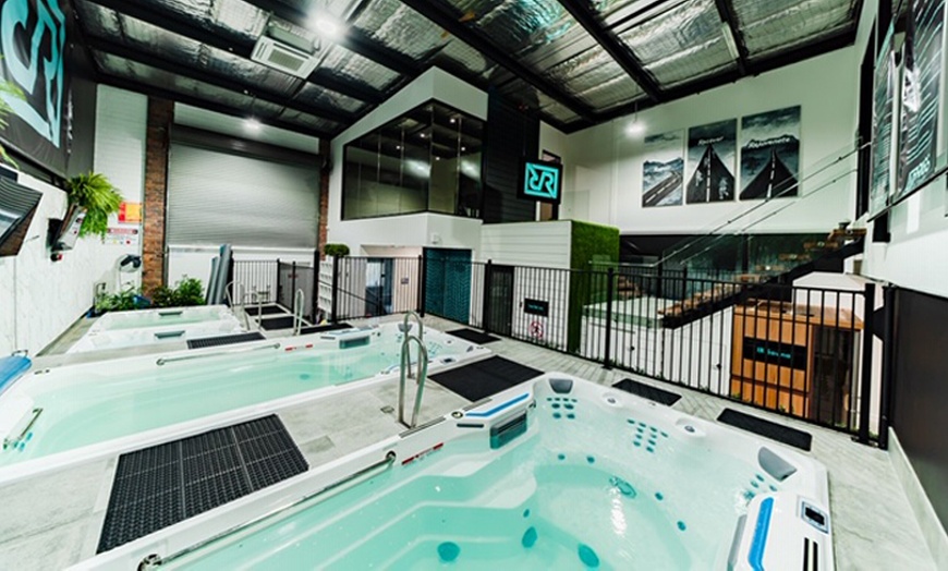 Image 5: Hydrotherapy with Wet Sauna