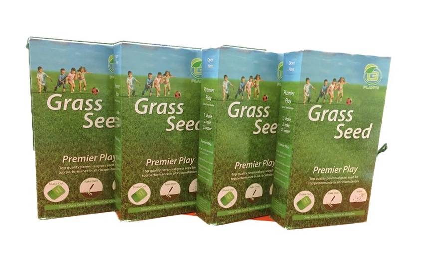 Image 2: Multi-Purpose Rye Grass Seeds