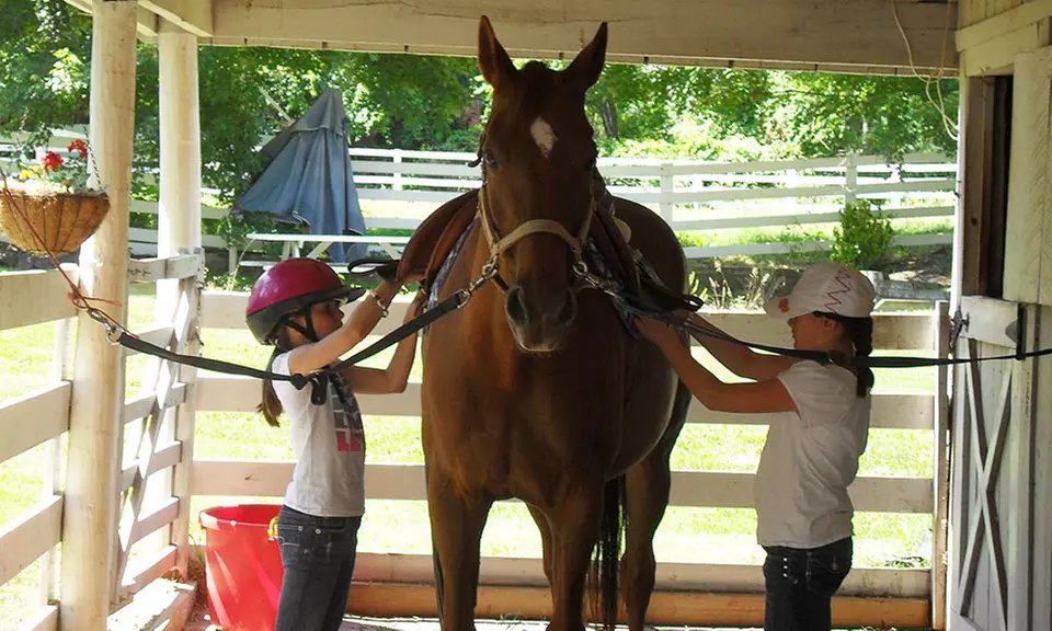 One Week of Half- or Full-Day Horse Summer Camp at Fitzgerald Stables (Up to 51% Off) - Primary Image