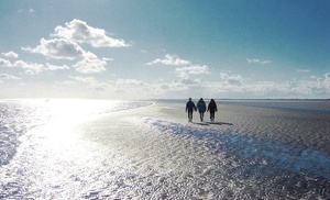 De Wadden: 1-2 nachten nachten incl. wellness