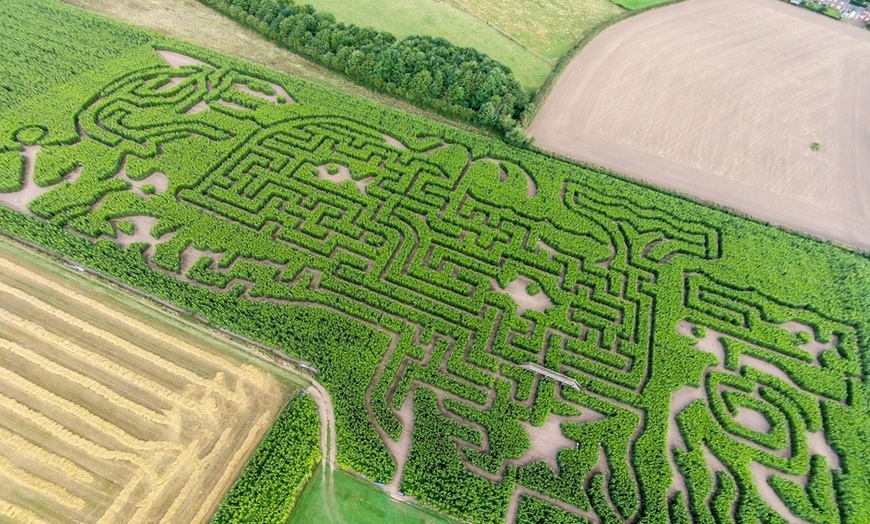 Image 1: Maze Entry: Child (£3.50), Adult (£4)