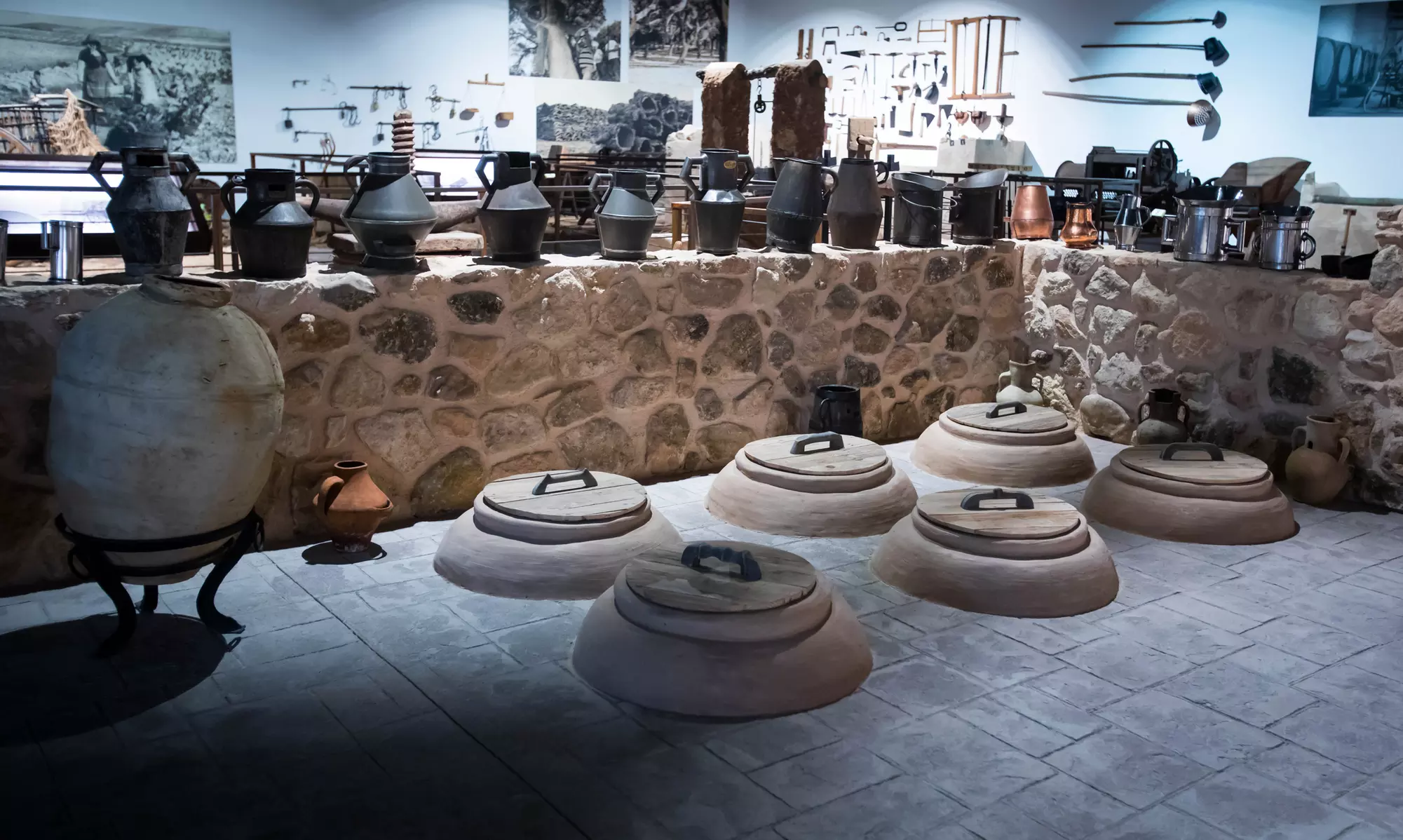 Ruta en bicicleta entre viñedos por la zona de Jumilla para 2 o 4