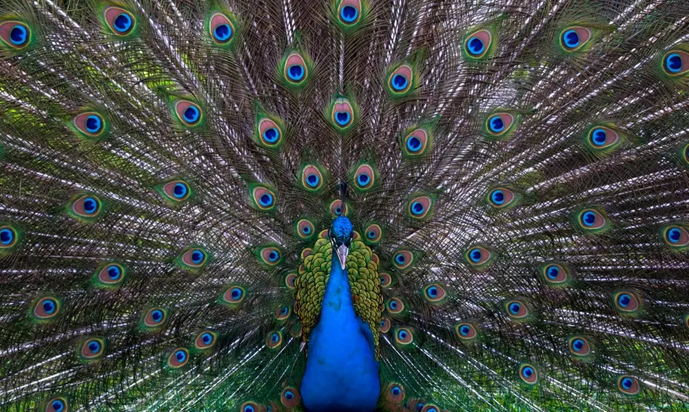 Beginning Photography Workshop from Janice Street Photography & Workshops (51% Off)  - Primary Image