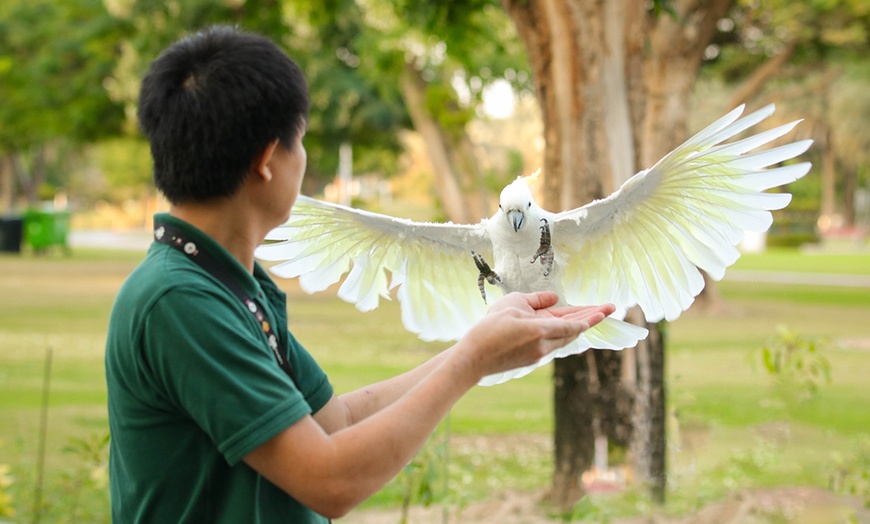 Image 8: General admission to Dubai Exotic Bird-Show at Creek Park Bird Show 