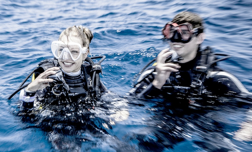 Image 2: SCUBA Diving Experience