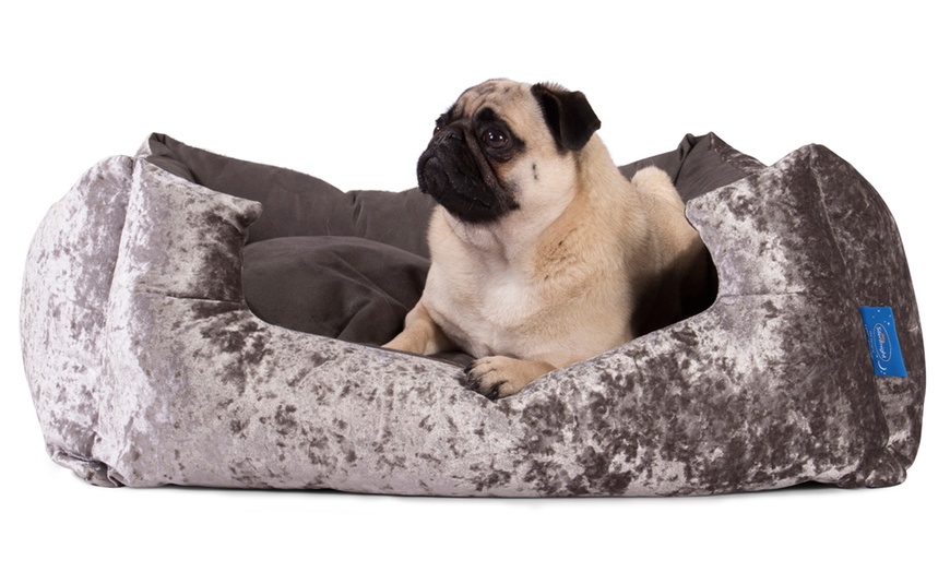 silentnight dog beds groupon