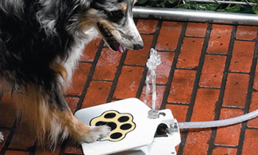 Image 2: Dog Water Fountain