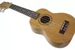 eMedia Mahogany Ukulele Set with Interactive Lessons, Chord Dictionary, and Tuner (10-Pack) - Second Medium