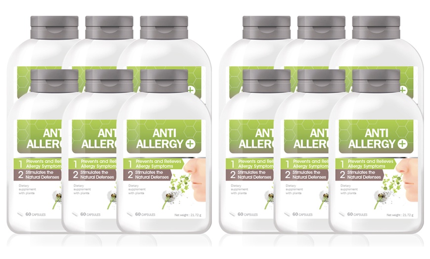 Image 5: Anti-Allergy Capsules Supply