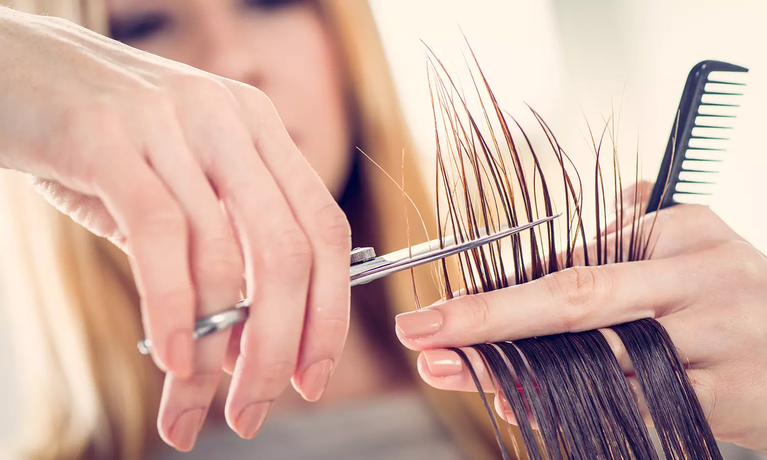 Women's Haircut & Styling or Shampoo / Blow Dry Style 