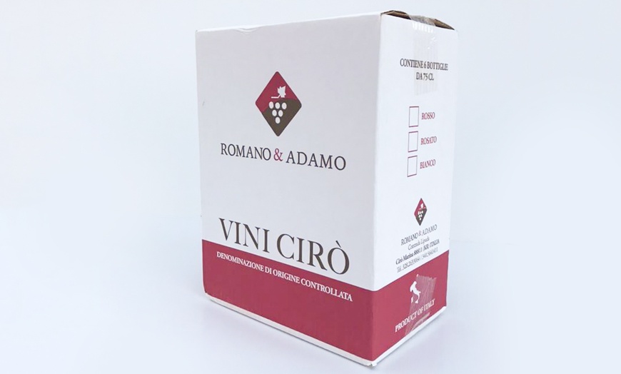 Image 3: Box con bottiglie di vino Cirò