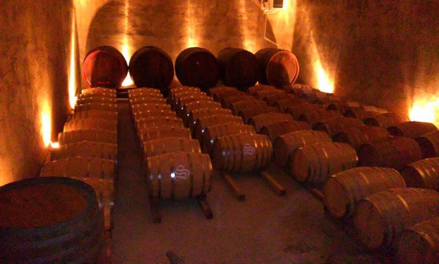 Image 11: Degustazione vini con visita a cantina e vigneti da Soloperto Vini