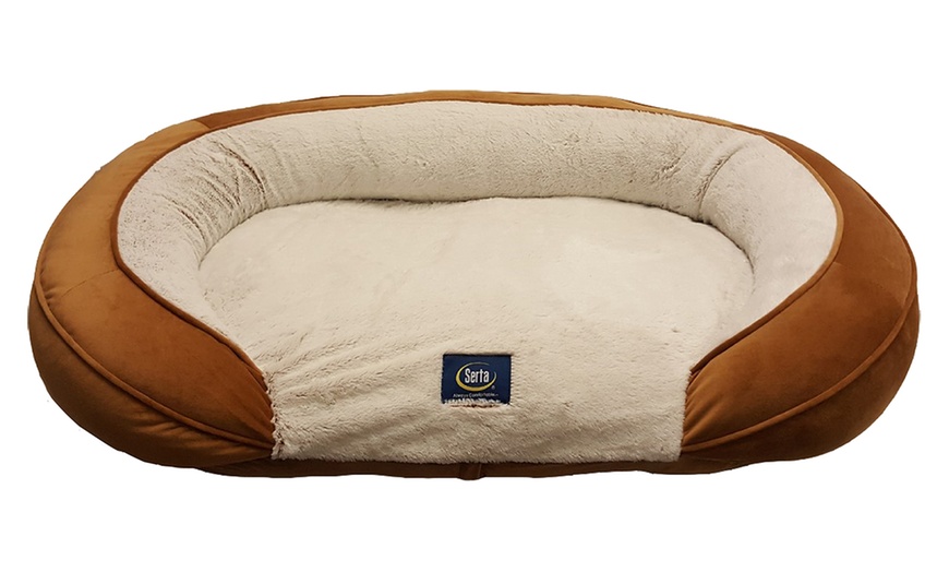 Serta shredded foam 2025 oval couch dog bed