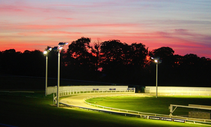 Image 5: Dog Race Entry and Meal with Drink at Towcester Racecourse