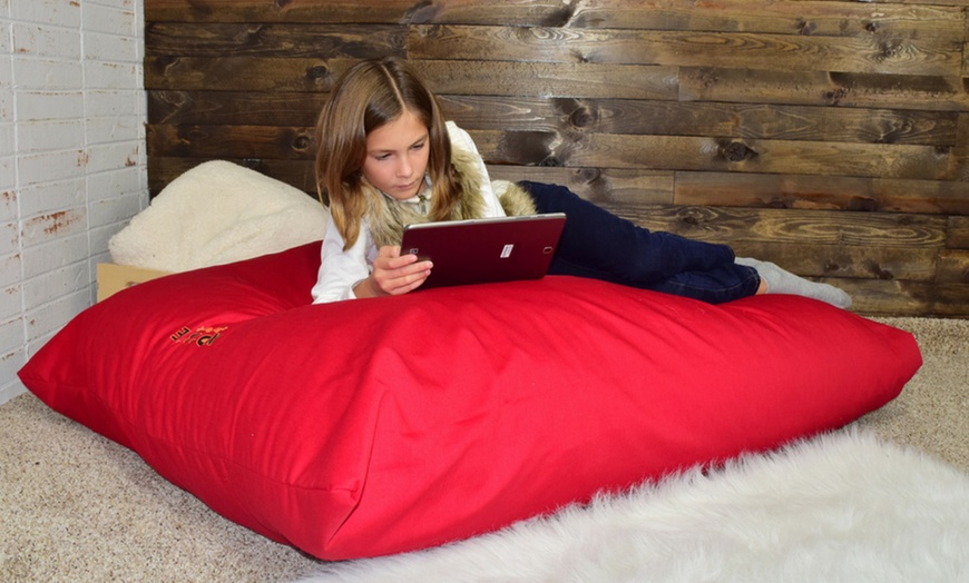 giant foam pillow