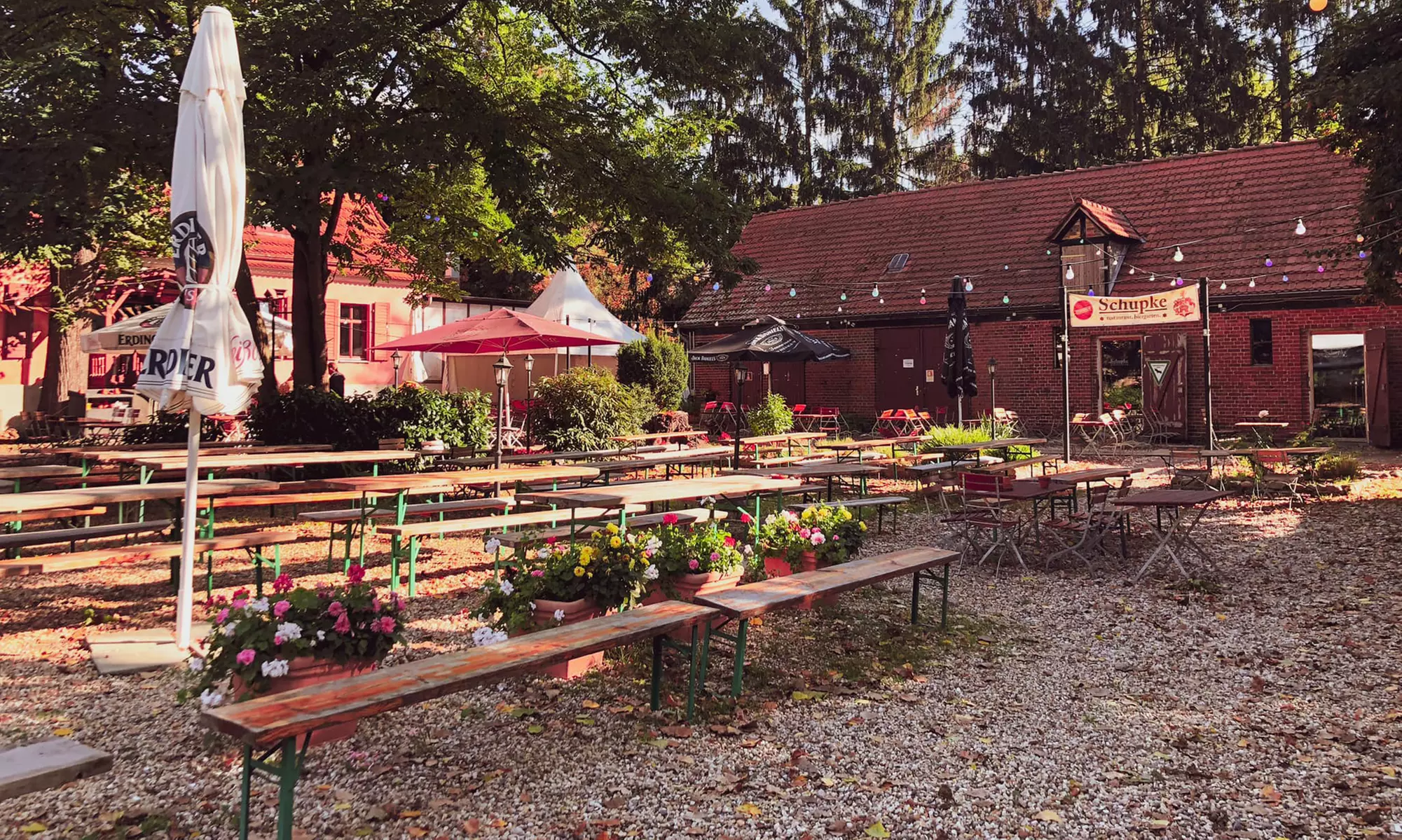 Wein-Verkostung von deutschen Weinen inkl. Snack für 2 oder 4 Personen
