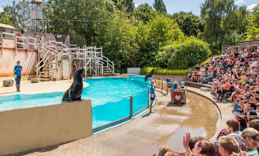 Image 2: Entrée pour le Boudewijn Seapark