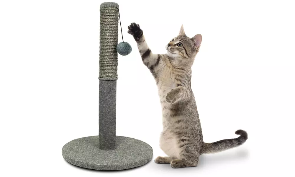 Tiragraffi, gioco, intrattenimento per gli artigli del tuo gatto