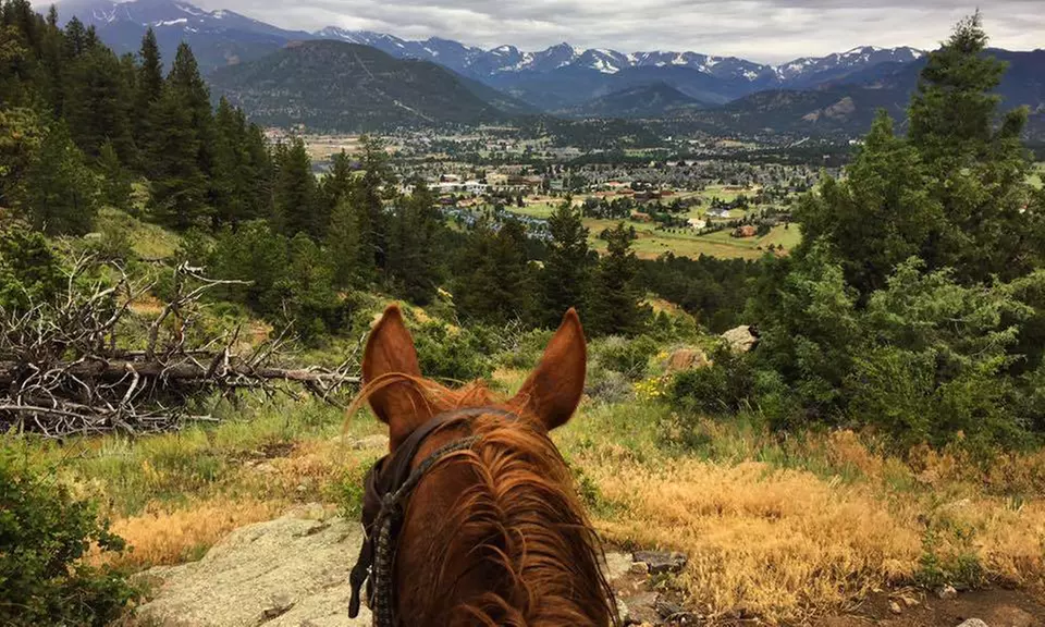 One-Hour Estes Park Trail Ride for One, Two, or Four at Sombrero Stables (Up to 22% Off) - Primary Image