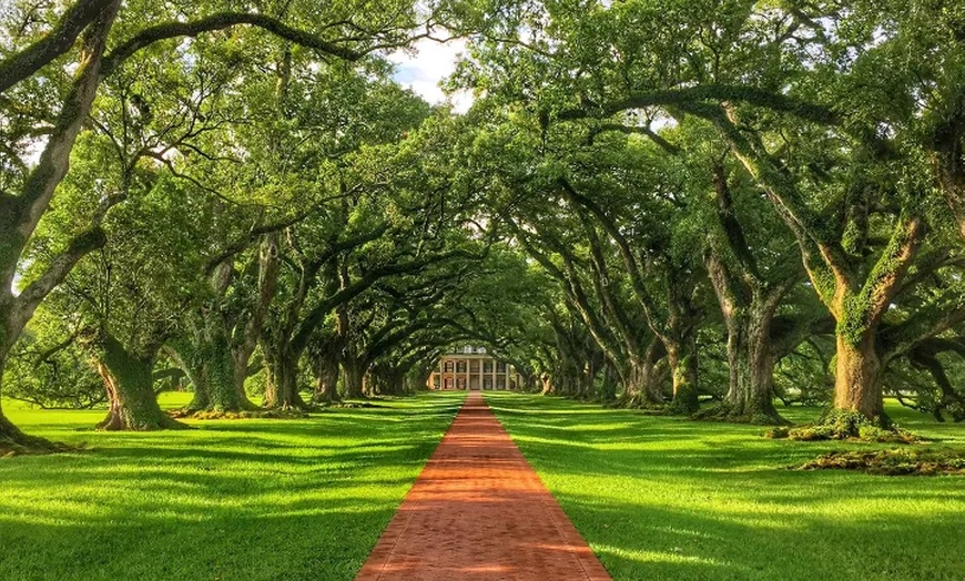 Image 12: Up to 21% Off Historic New Orleans Plantation Tours
