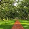 Image 12: Up to 21% Off Historic New Orleans Plantation Tours
