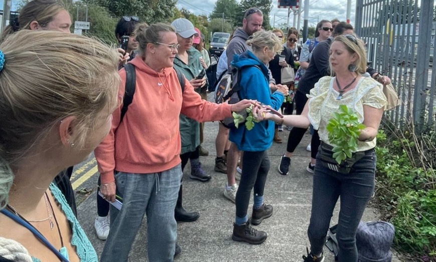 Image 8: Join the Adventure: Two or Four Person Foraging Tour Howth