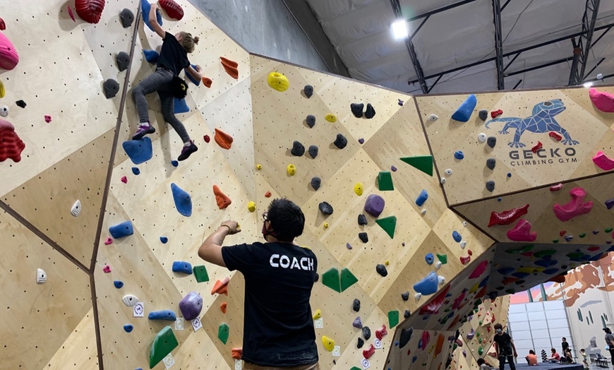 Gecko Climbing Gym In Phoenix Az Groupon