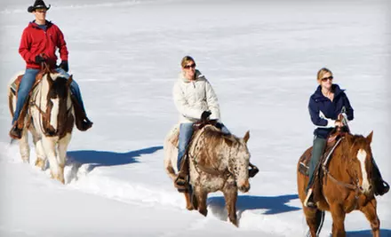 $49 for Winter Fun Package for Family of Four Including Sleigh Ride, Pony Ride, and Ice-Skating at Fox Lair Stables in Canfield ($107.35 Value) - Primary Image