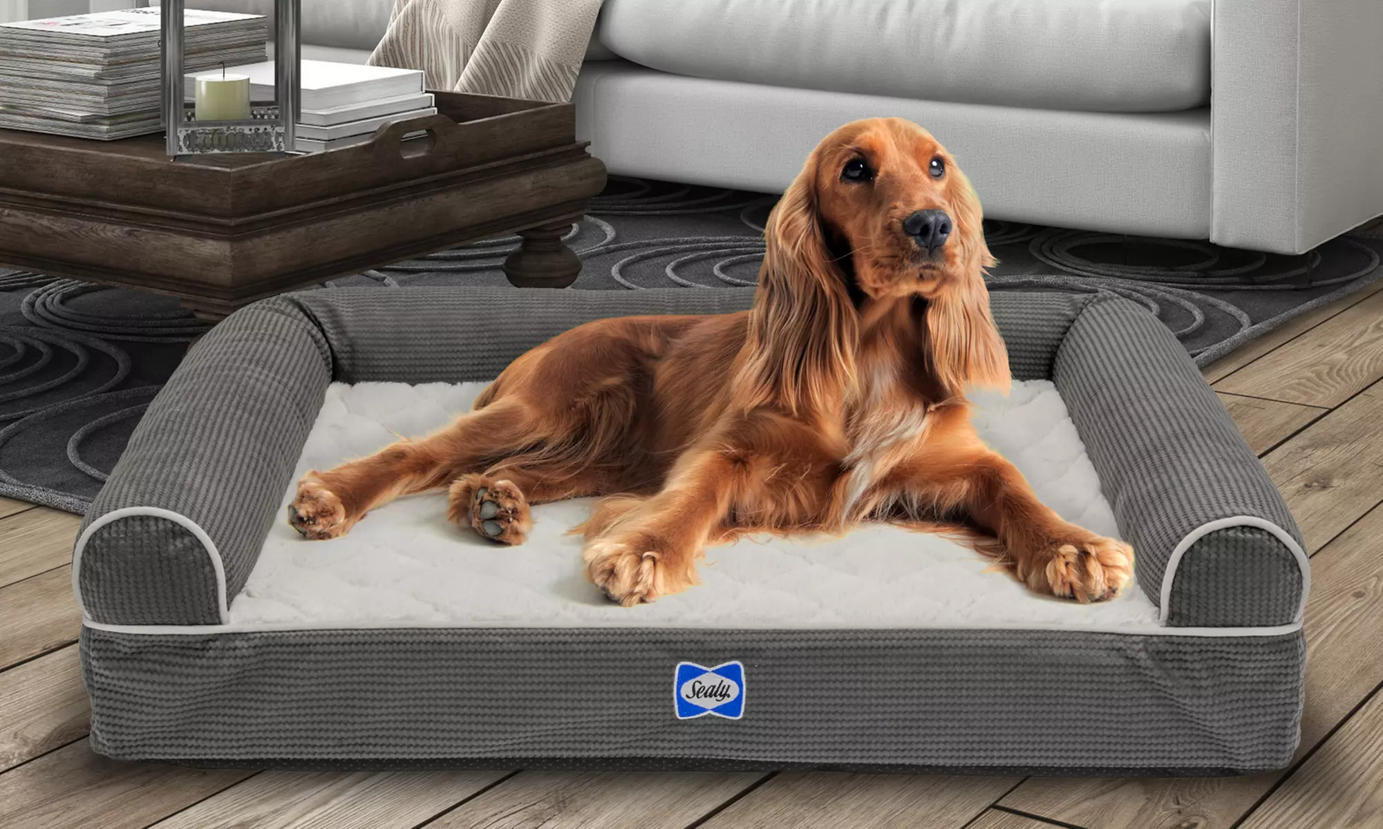 Sealy Orthopedic Foam Couch-Style Dog Bed - Primary Image
