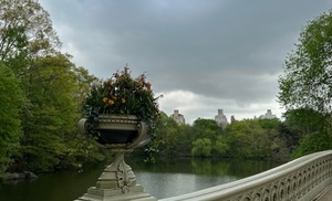 Explore Central Park on a 90-Minute Walking Tour