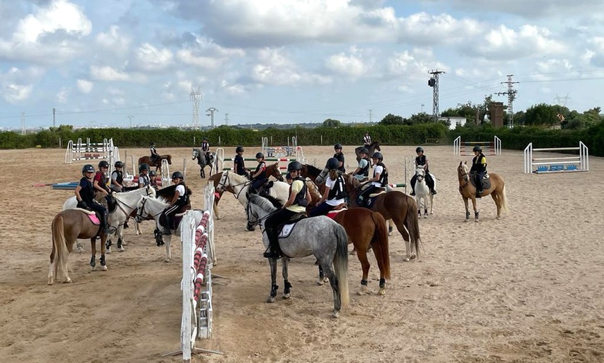 Image 6: ✦ 3 o 5 clases de hípica en La Finca Pony Club