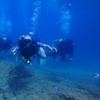 Image 6: Curso SDI open water diver 