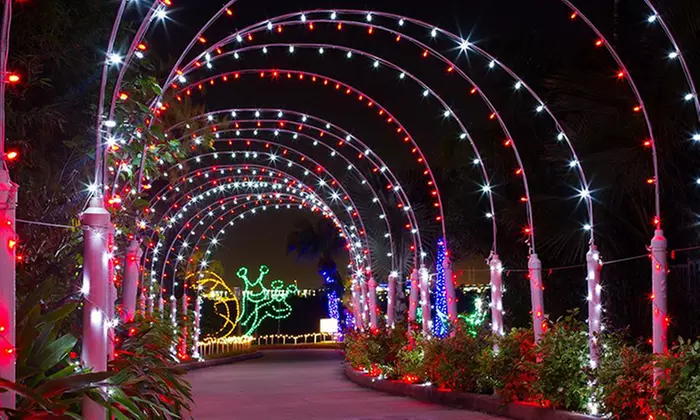 Dazzling Christmas Show & Holiday Lights I Dec 19 - Jan 3