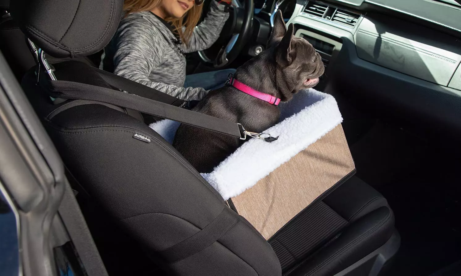 Paws & Pals Car Seat Booster for Small and Medium Dogs - Primary Image