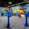 Image 4: All-Day Play Pass & Parties at Ball Factory Mt. Prospect