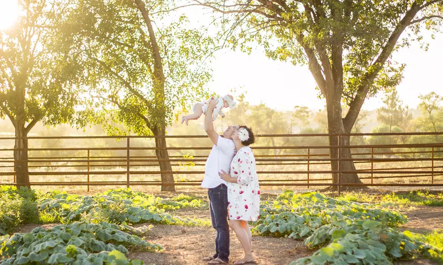 $80 for $150 Worth of Services — Sophia Elizabeth Photography - Primary Image