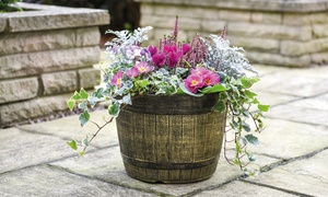 Whisky Barrel Planter