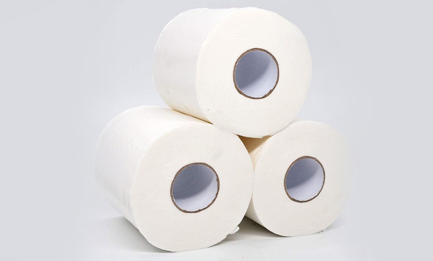 Image 2: 12-Piece Toilet Paper Pack