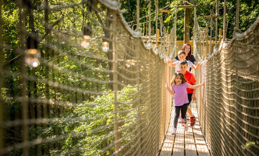 Image 1: Up to 12% Off Adventure Park Admission at Shepherd of the Hills