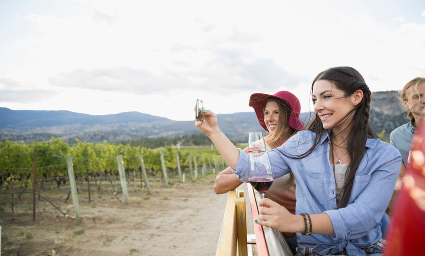 Image 1: Guided Vineyard Tour and Tasting