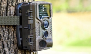 1080p Digital Wildlife Camera